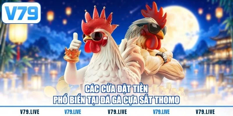 Các cửa đặt tiền phổ biến tại đá gà cựa sắt Thomo