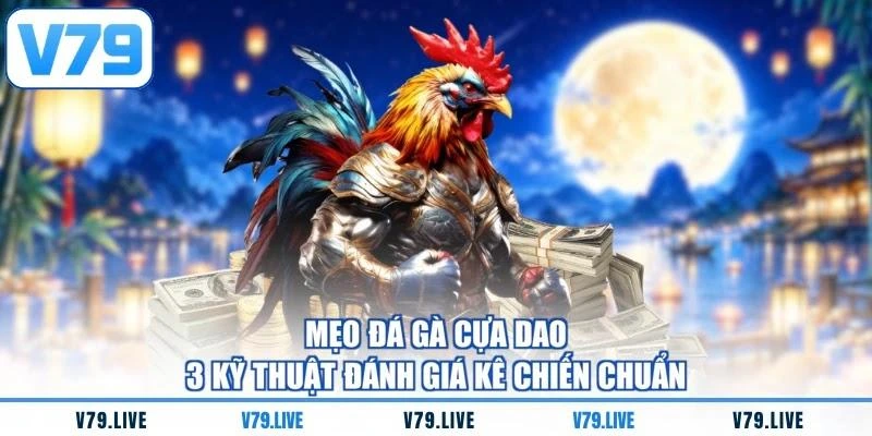 Mẹo Đá Gà Cựa Dao - 3 Kỹ Thuật Đánh Giá Kê Chiến Chuẩn